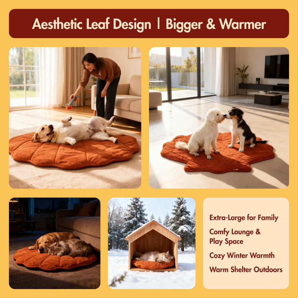 Vagascape clover-pattern cover provides inviting warmth for indoor-outdoor lounging.