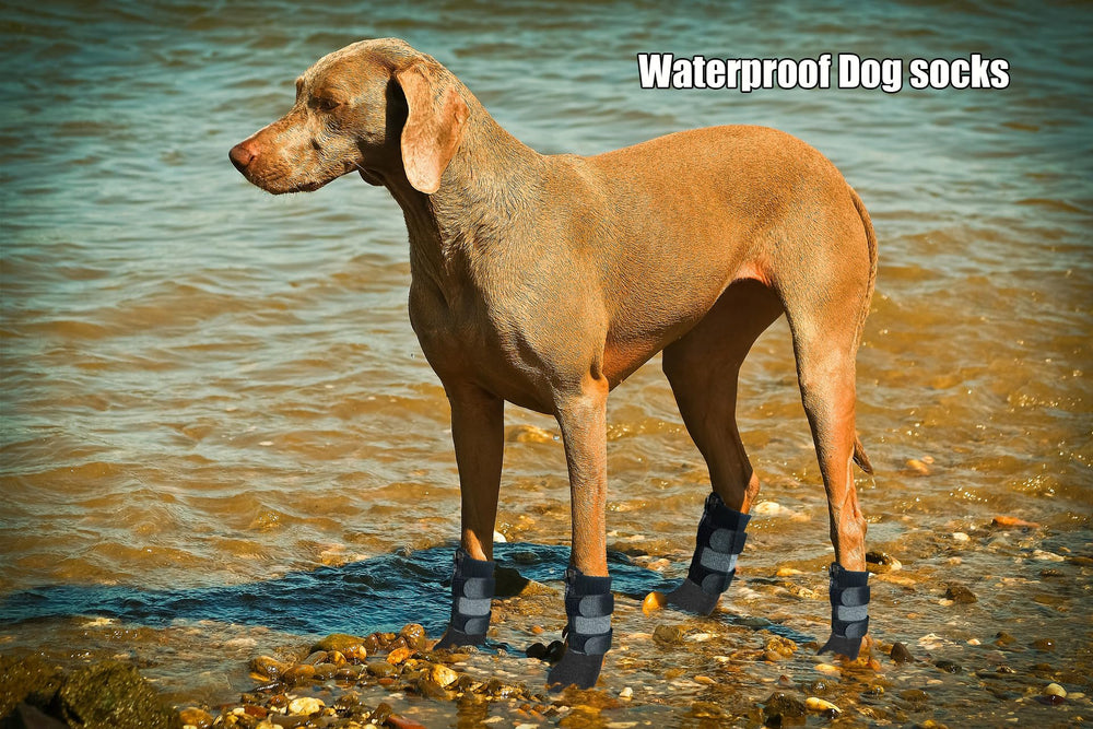 VALFRID paw protection for indoor and outdoor use with sharp object defense.
