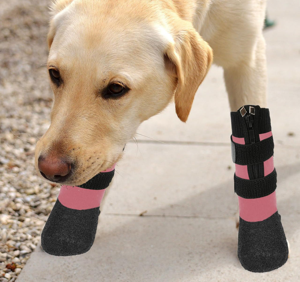 VALFRID paw-size measuring guide helps find a comfortable fit for different breeds.