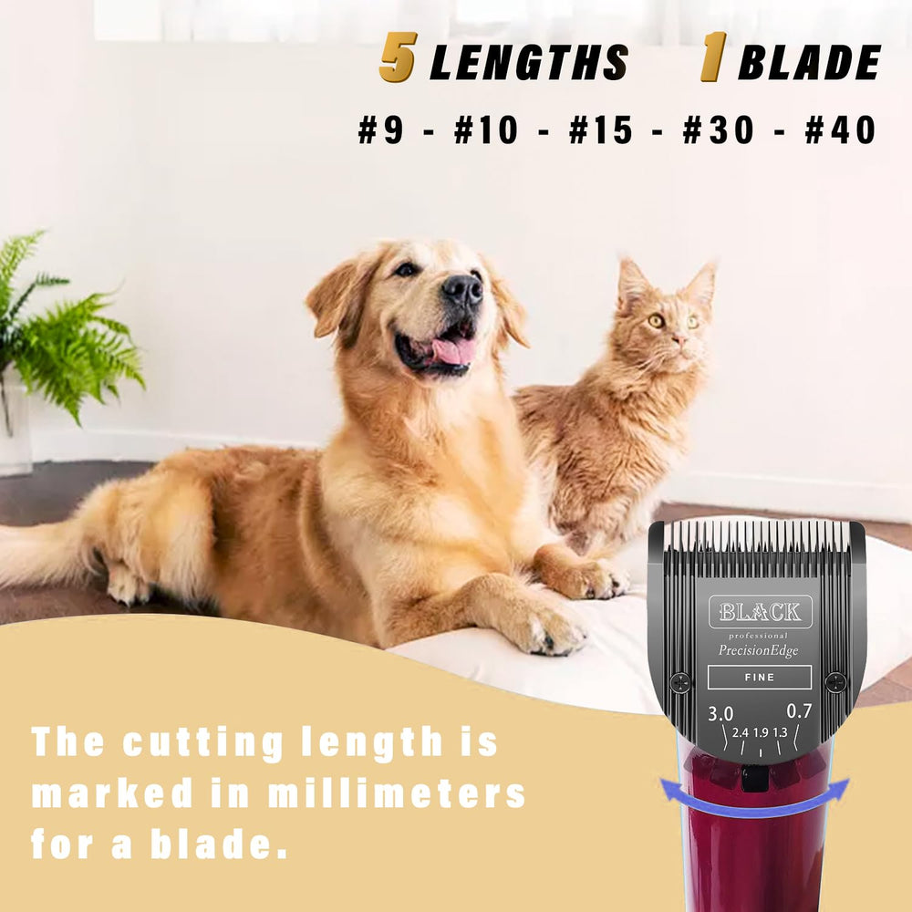 VALLNEI precision-cutting-edges image displays expertly sharpened blades for clean trims.