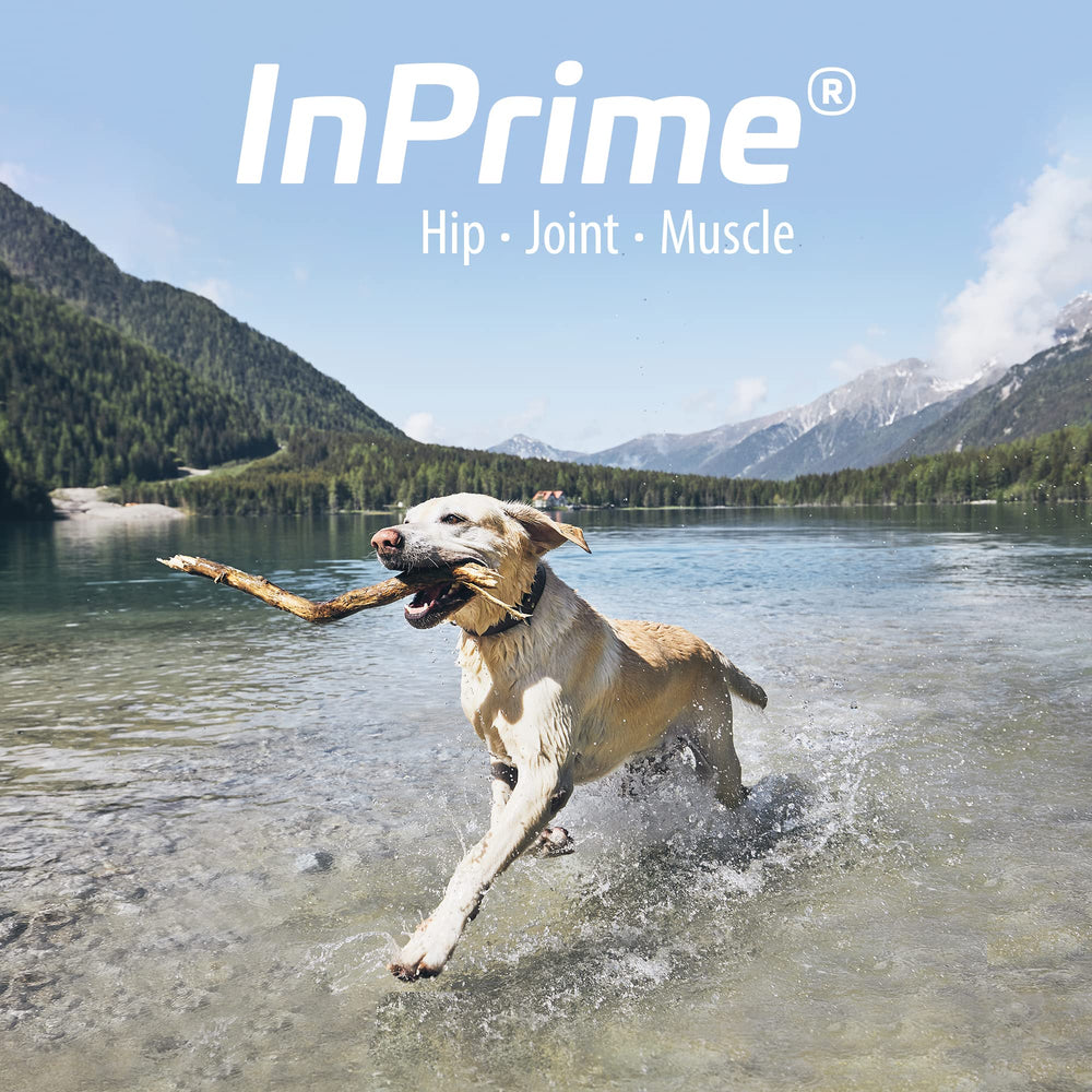 Van Beek InPrime Canine packaging emphasizes plant-based, safe ingredients for hip and joint care.