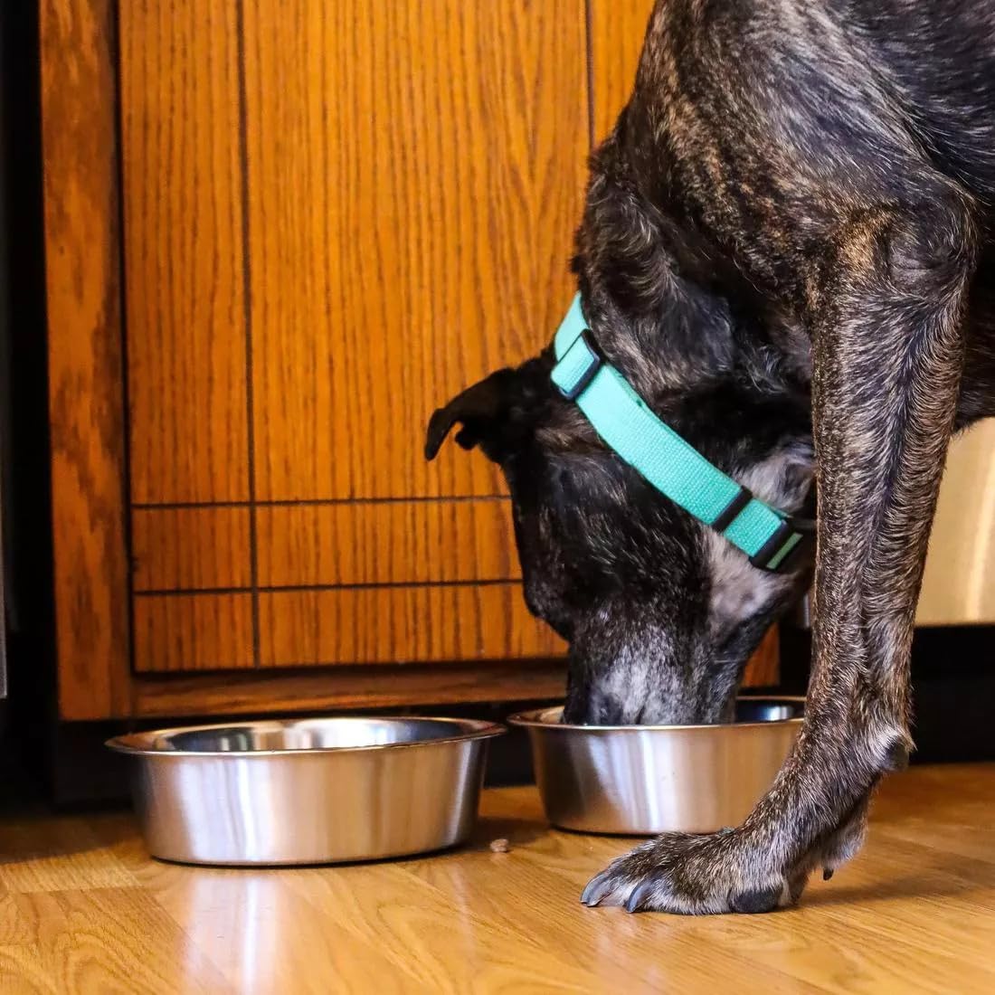 Vanacara dishwasher-safe bowls provide rust-free hygiene for repeated use and easy cleanup