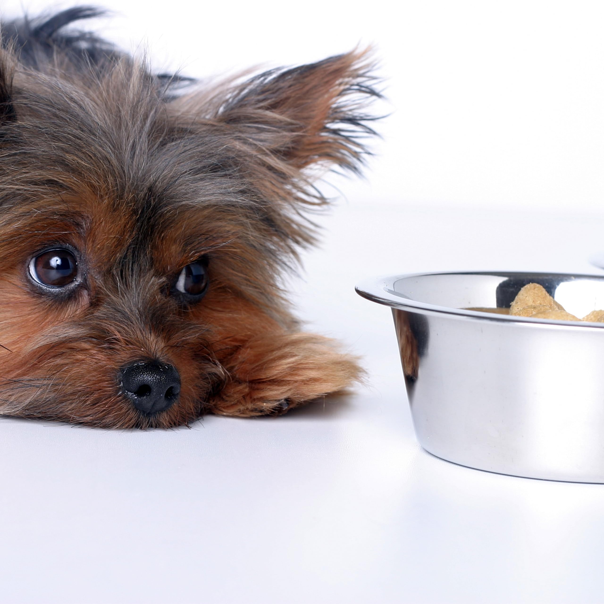 Replacement for plastic or damaged bowls; easy to clean and maintains fresh meals