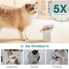 Vancasso anti-slip base keeps the bowl steady during enthusiastic mealtime