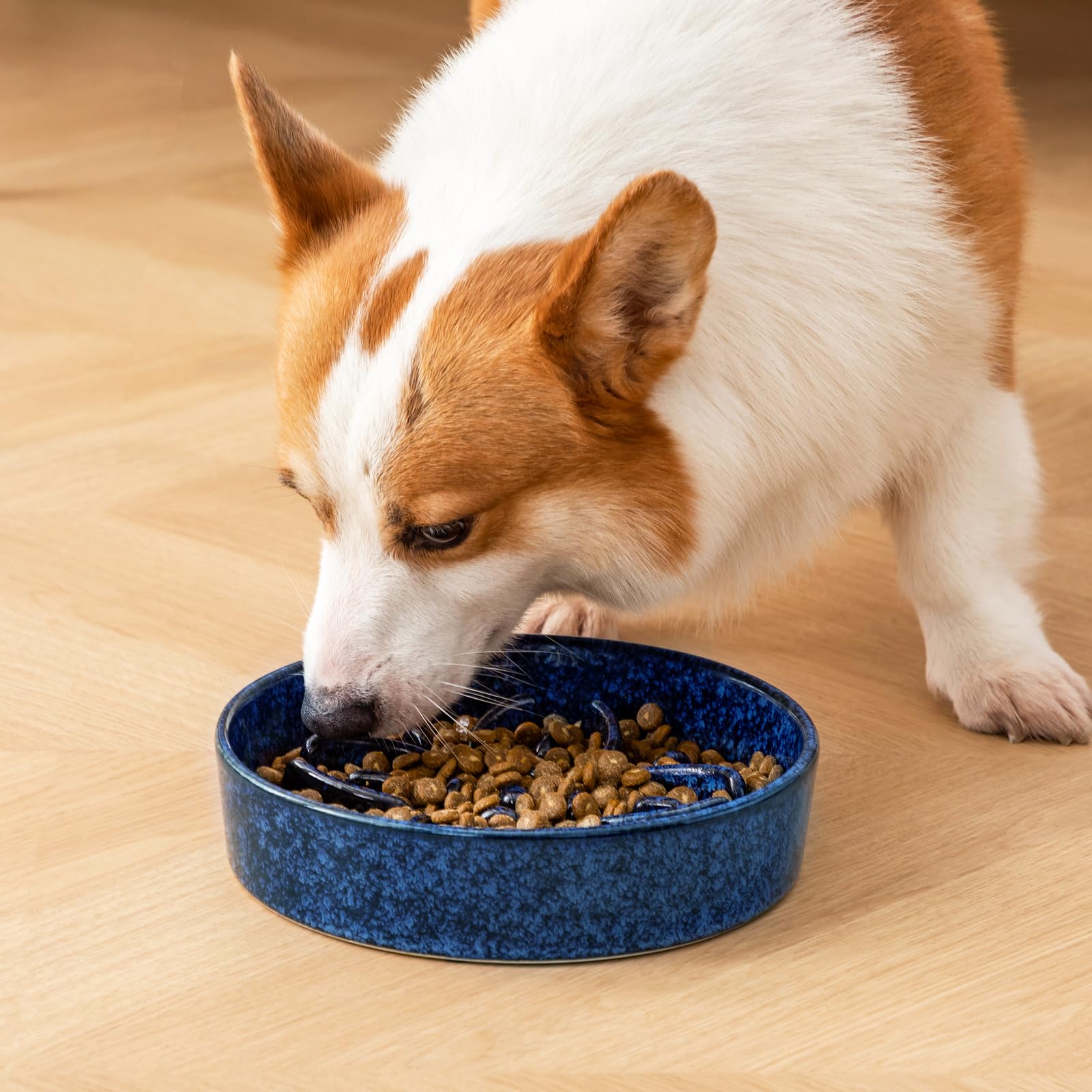 Vancasso blue ceramic dog bowl showcases durable construction and stylish design.