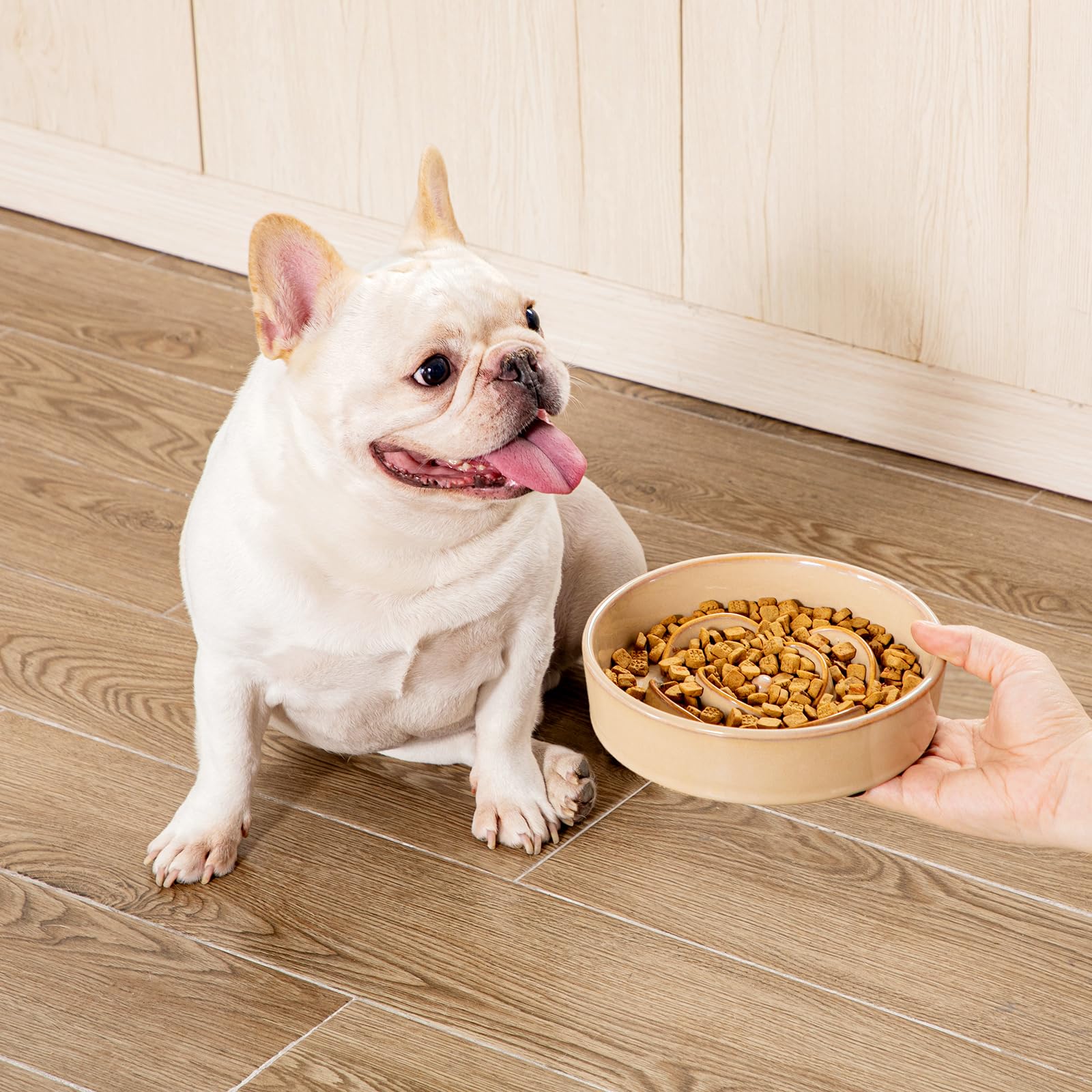 vancasso ceramic bowl sturdy and chew-safe for playful chewers