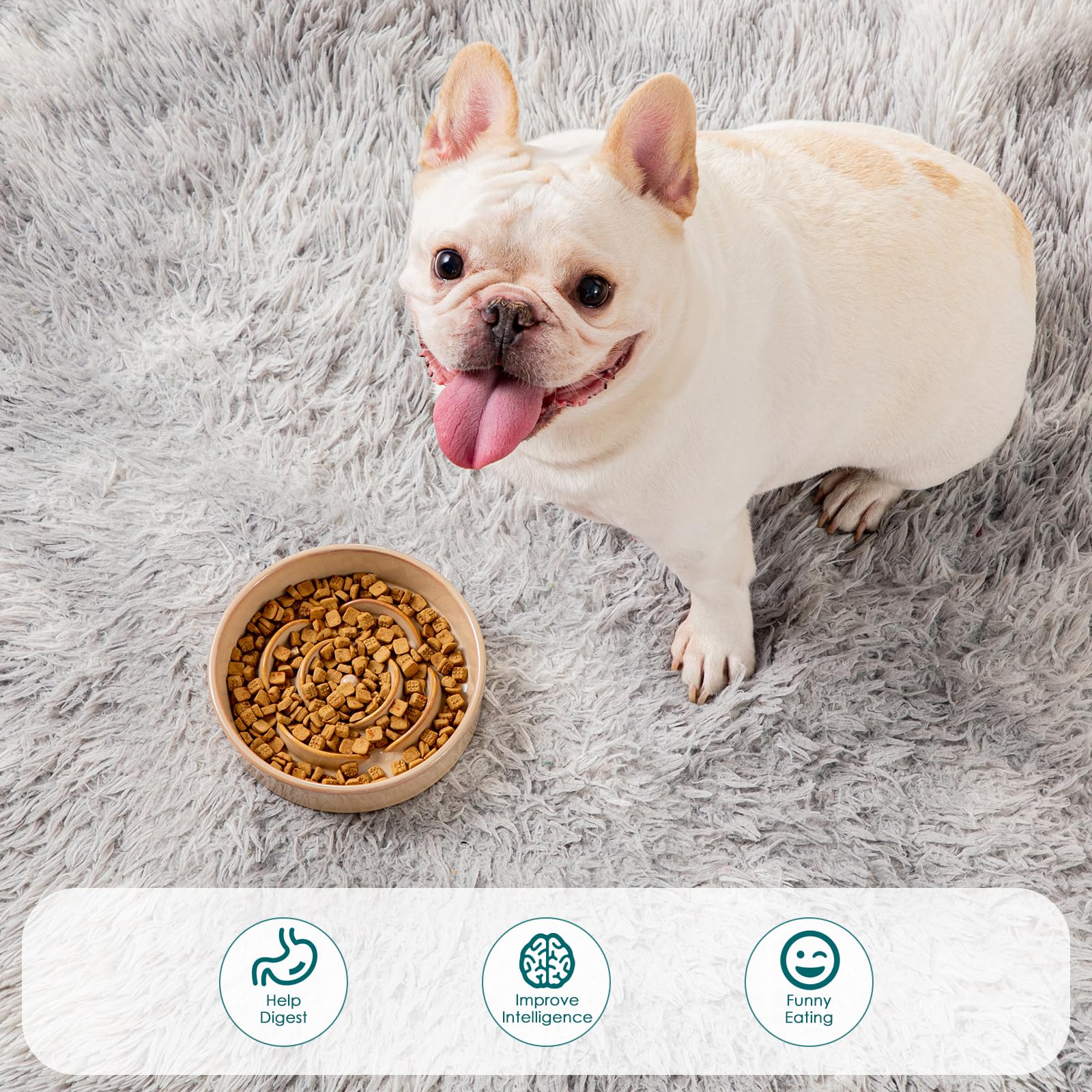 vancasso ceramic dog bowl dog-eating session with chew-safe design