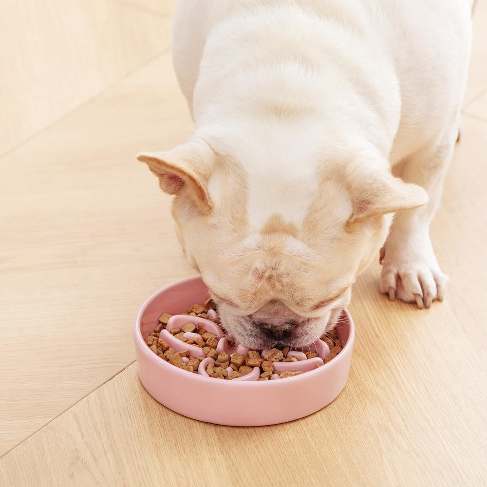 Vancasso easy-clean glaze simplifies post-meal maintenance.