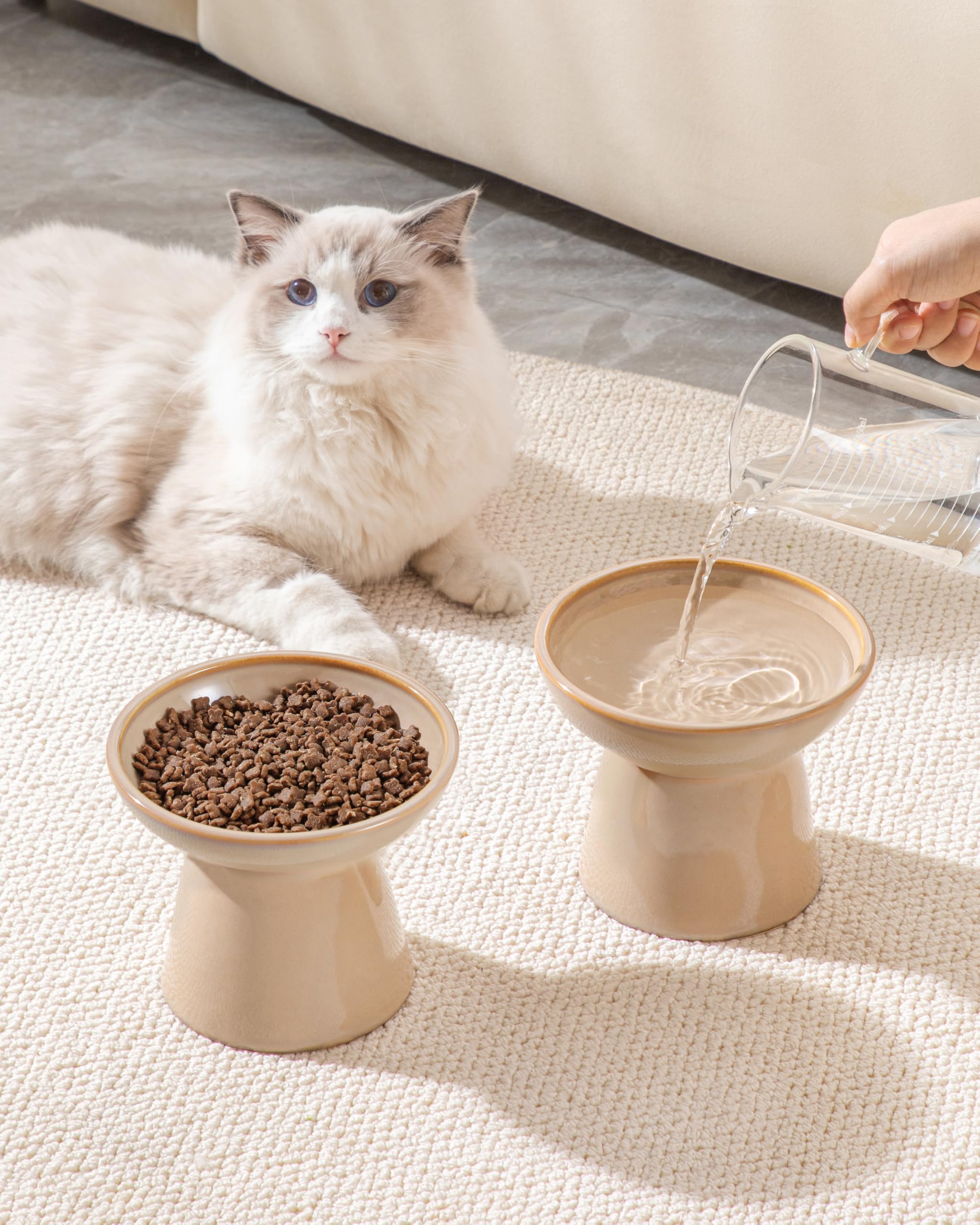 Vancasso ceramic elevated cat bowls 2-pack brown color finish on sturdy ceramic