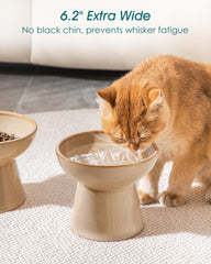 Vancasso ceramic elevated cat bowls 2-pack height view showing 5.1 inch raised design