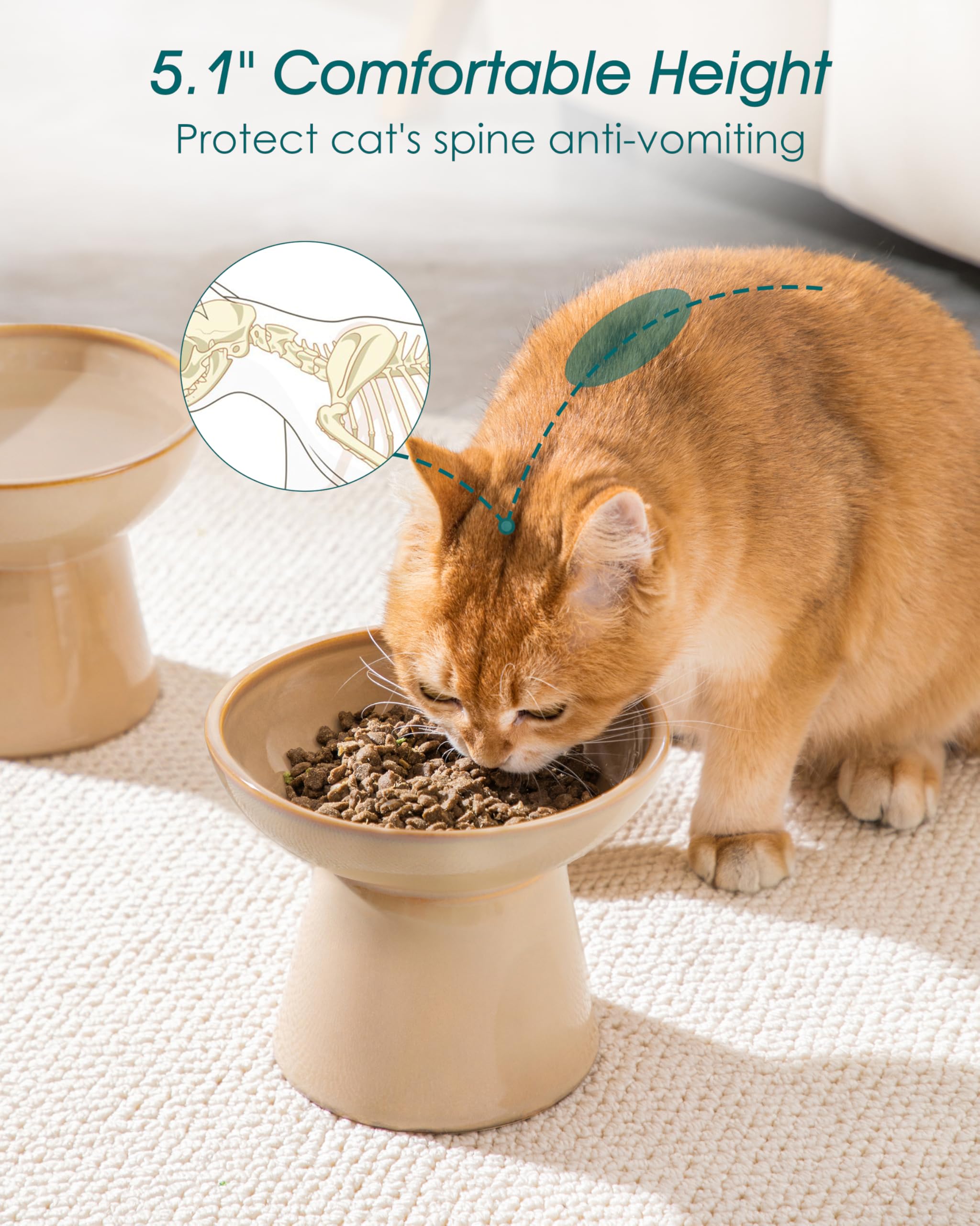 Vancasso ceramic elevated cat bowls 2-pack stable base keeping bowls steady