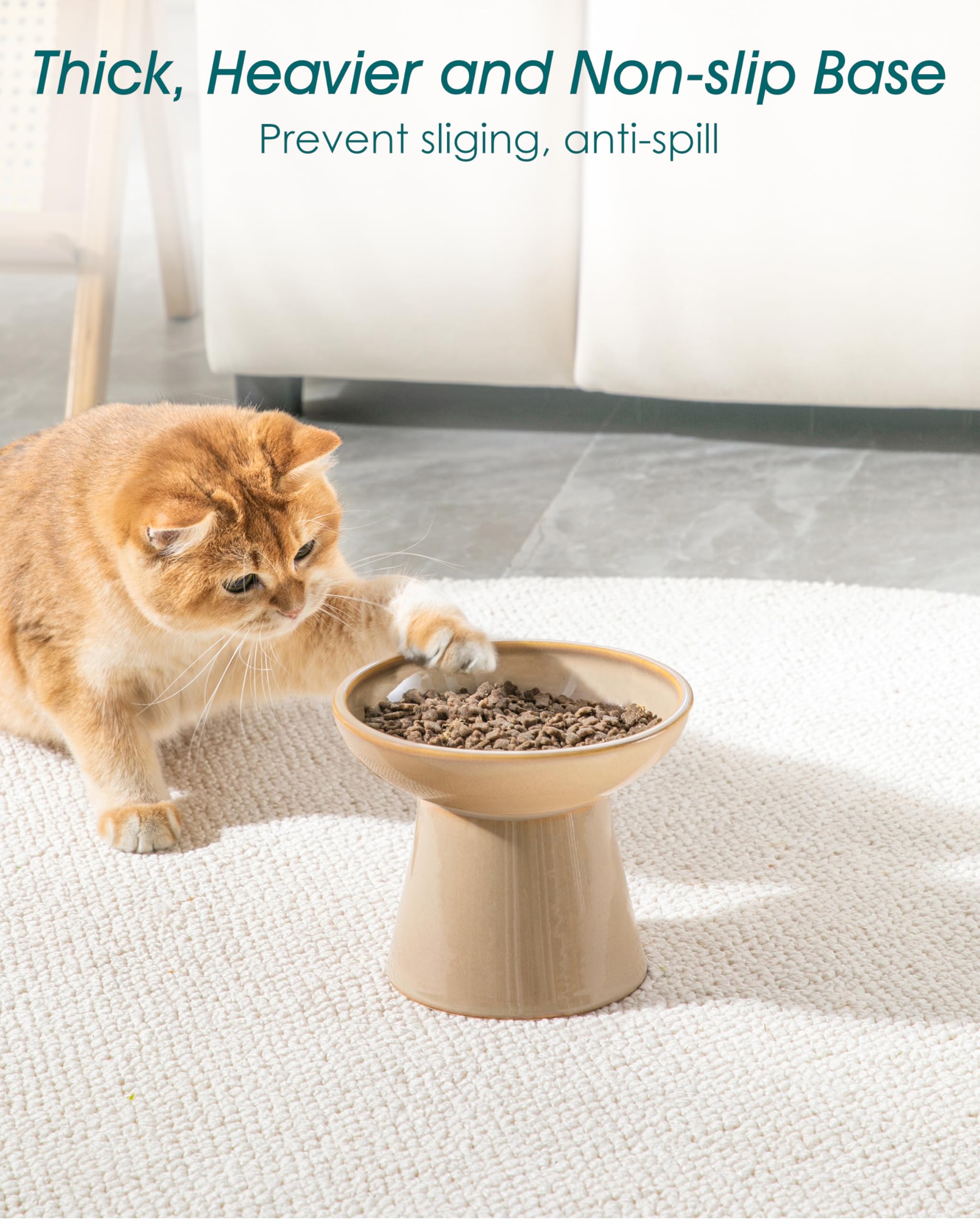 Vancasso ceramic elevated cat bowls 2-pack wide shallow bowl reduces whisker fatigue