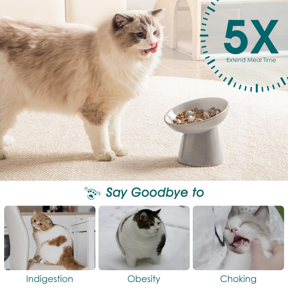 Vancasso ceramic slow-feeder bowl anti-slip base keeps bowl steady during enthusiastic meals
