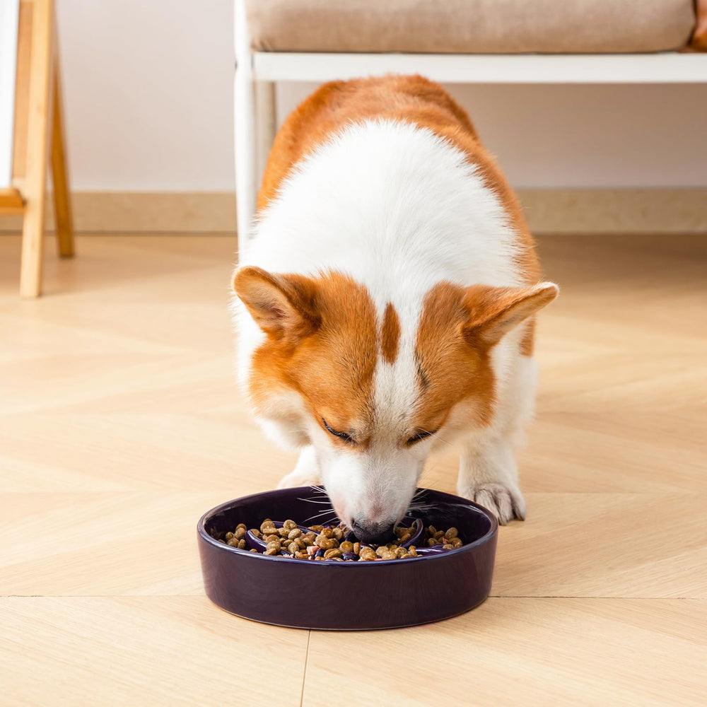 Vancasso purple bowl suitable for Beagles and French Bulldogs in daily meals