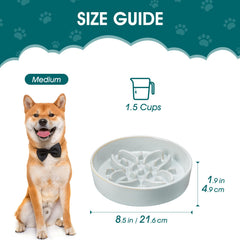 Vancasso ceramic slow feeder promotes mindful eating and reduces speed