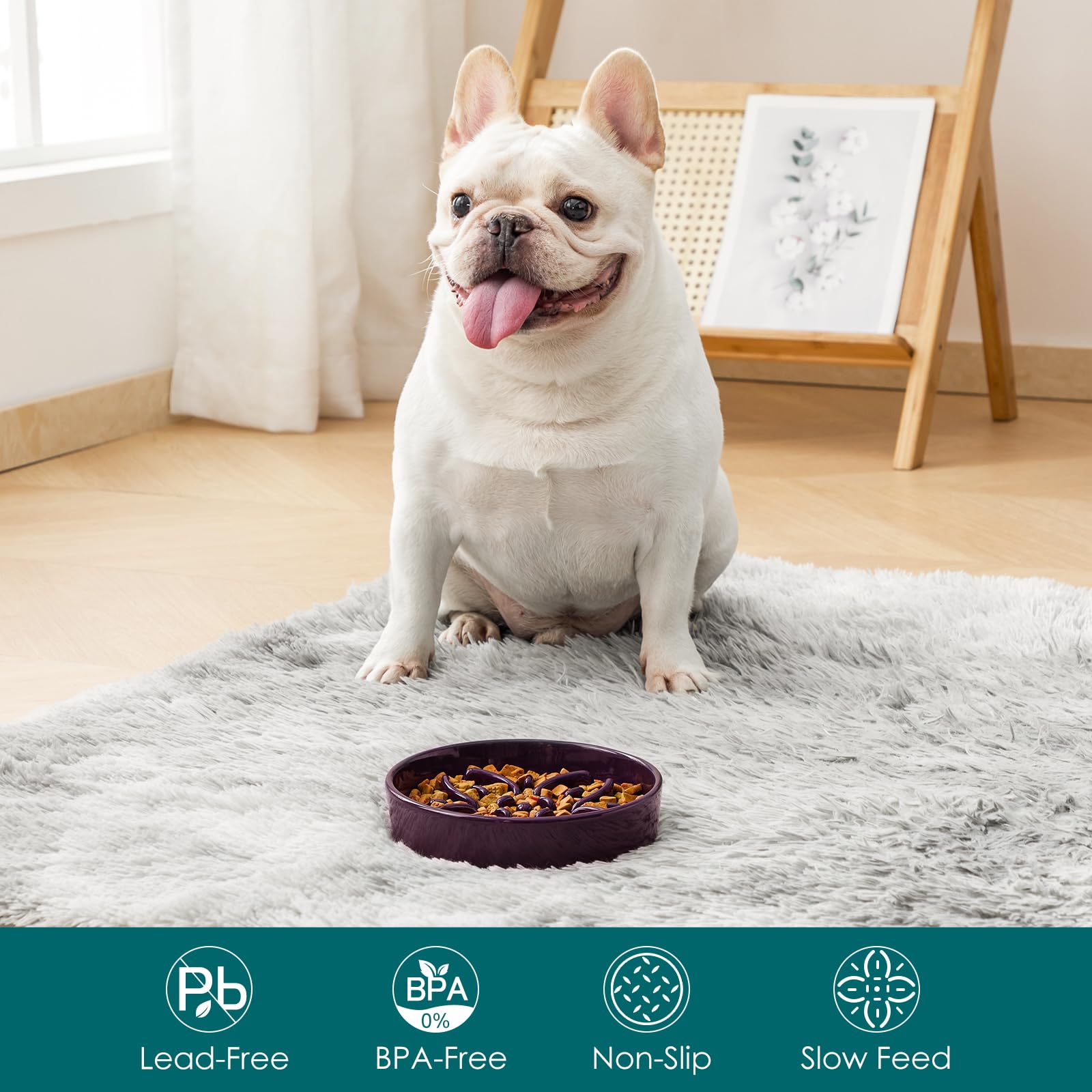 Vancasso dog bowl anti-slip base in purple prevents spills during energetic meals.