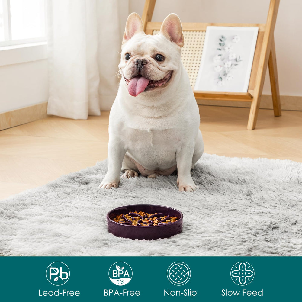 Vancasso dog bowl anti-slip base in purple prevents spills during energetic meals.