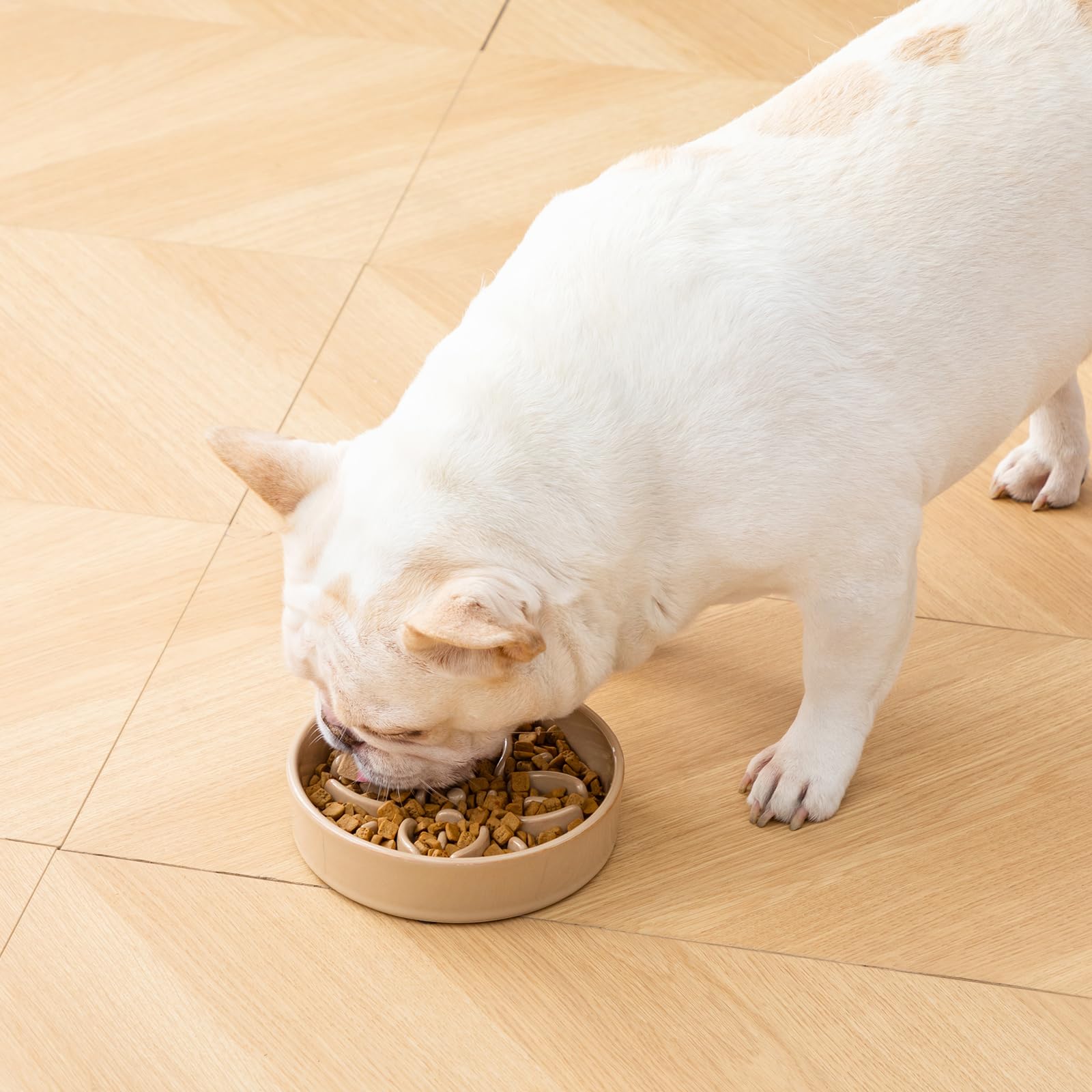 Vancasso durable non-toxic ceramic construction supports long-term feeding
