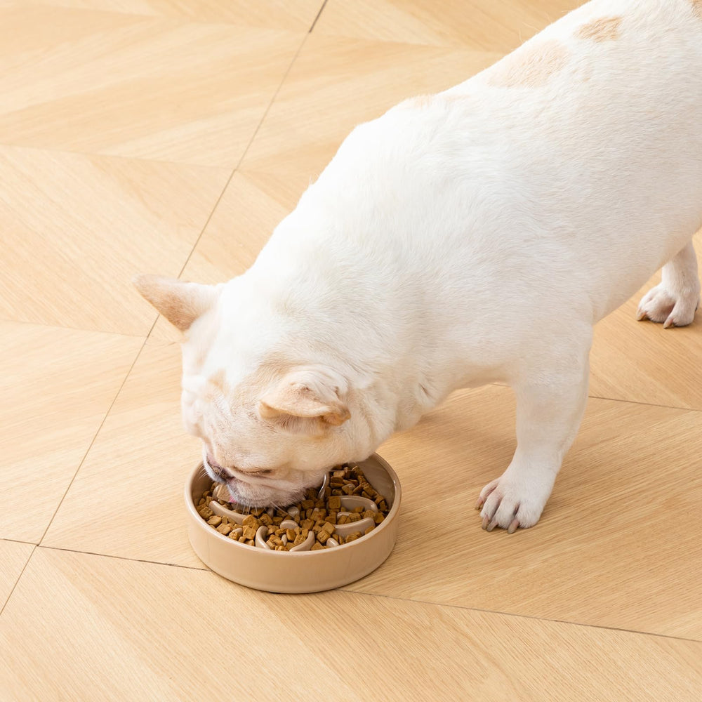 Vancasso durable non-toxic ceramic construction supports long-term feeding