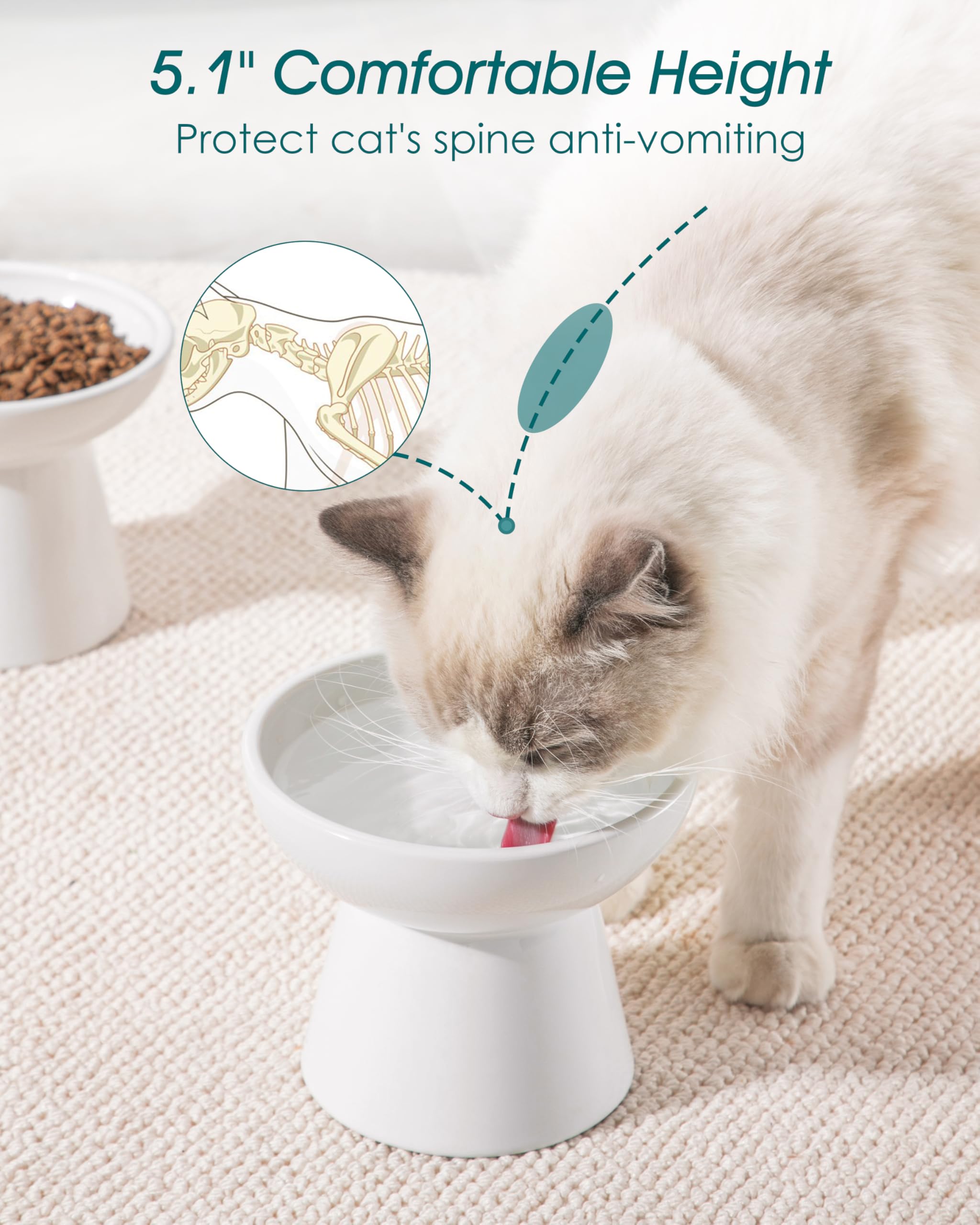 Vancasso elevated cat bowls ceramic-detail shows smooth non-porous surface