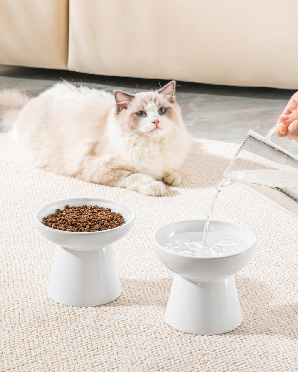 Vancasso elevated cat bowls 2-pack cleaning-care easy to rinse and dry