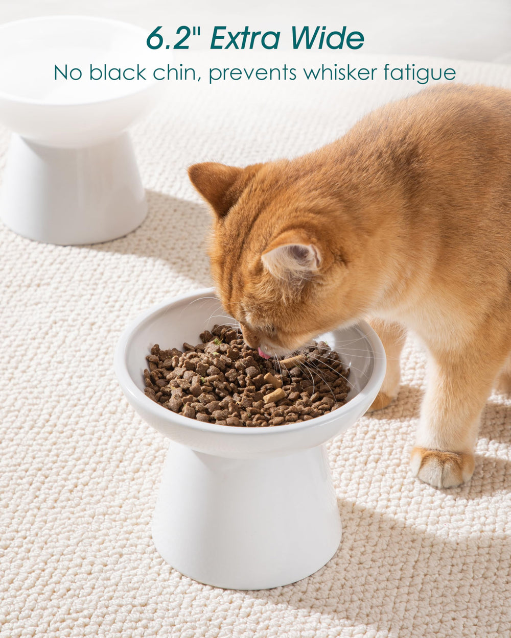 Vancasso elevated cat bowls 2-pack whisker-fatigue design reduces whisker contact