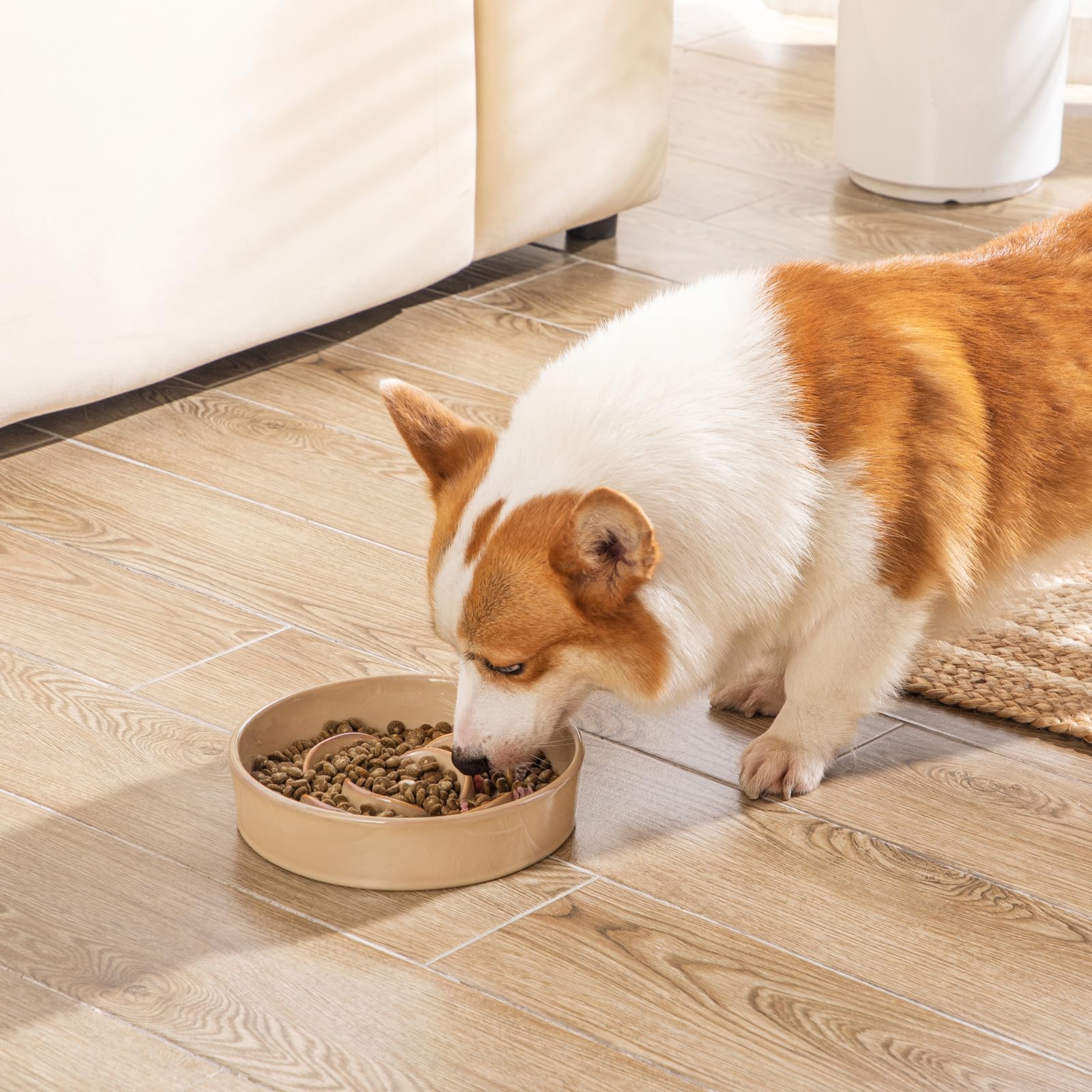 vancasso khaki bowl on floor demonstrates non-slip design during feeding