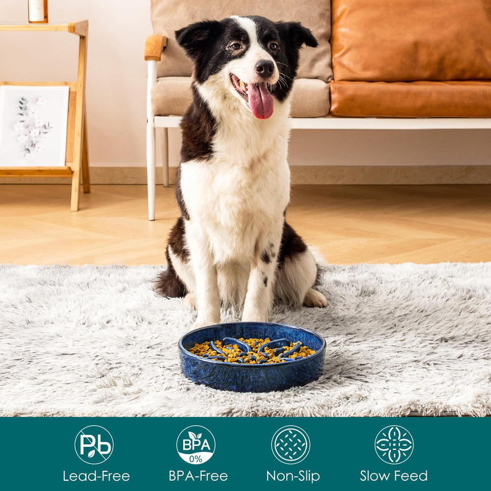 Vancasso large-breed 3-cup ceramic bowl in blue for measured portions.