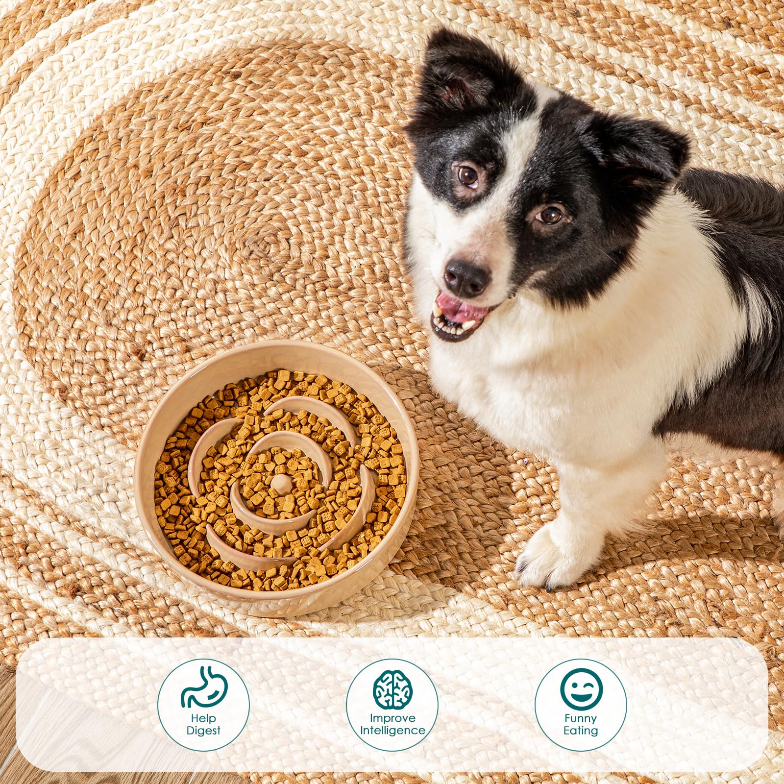 Vancasso large-breed dining solution supports portion control and longer meals.