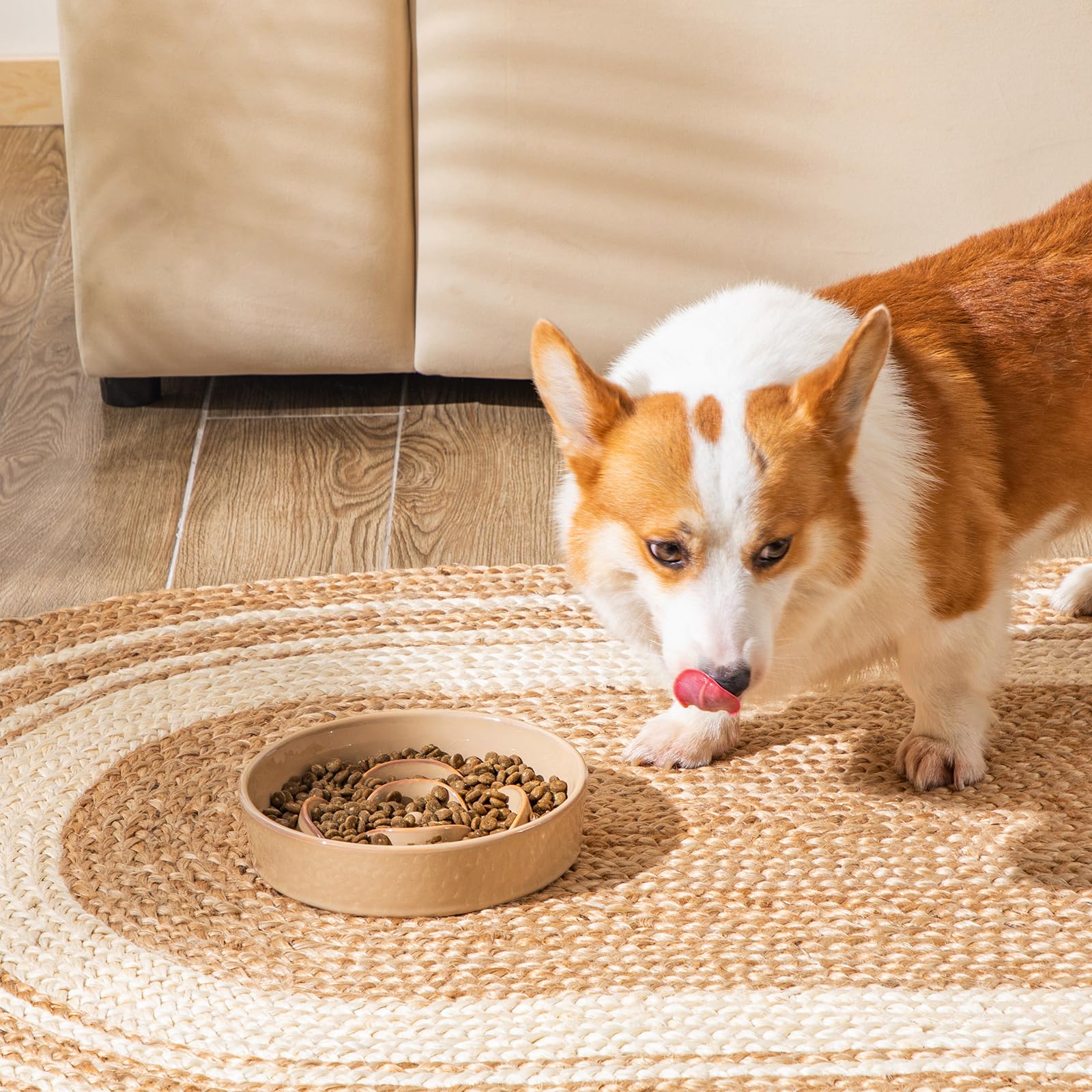 vancasso meal-time scene highlights durable construction for chewers