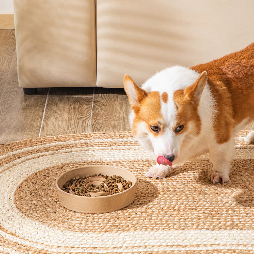 vancasso meal-time scene highlights durable construction for chewers
