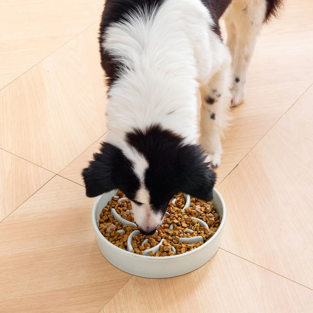 Vancasso elegant slow-feeder bowl enhances mealtime aesthetics