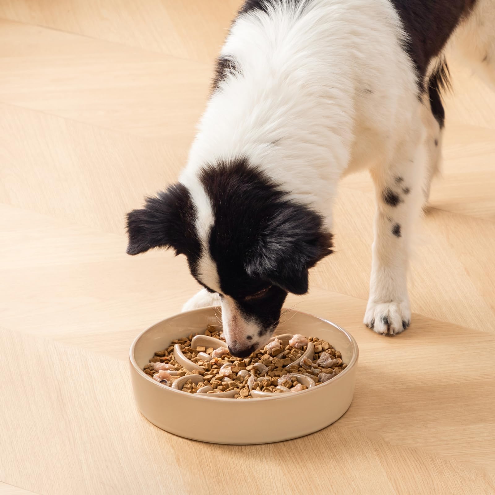 Vancasso puzzle bowl supports slower meals and safer feeding habits
