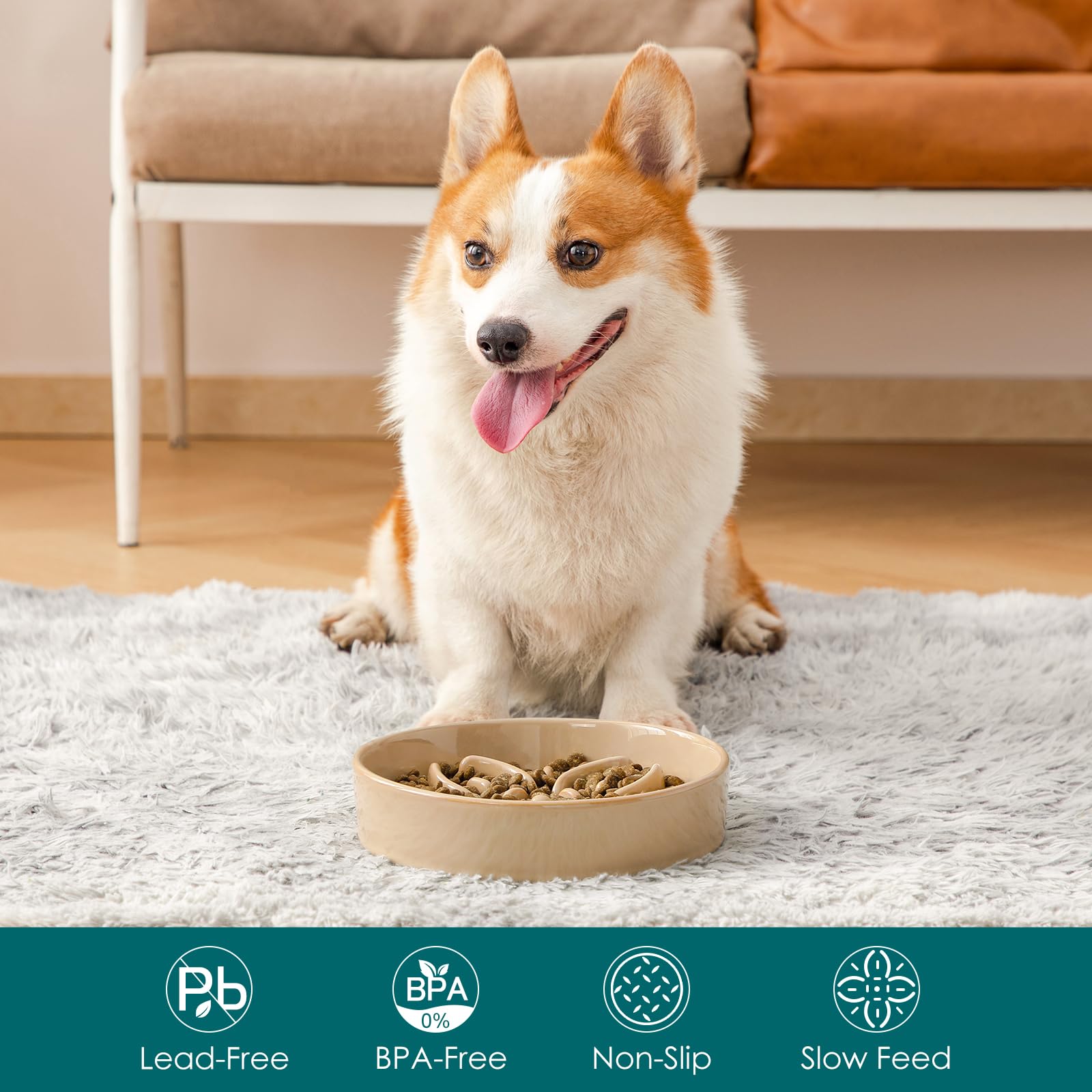 Vancasso puzzle bowl design aids controlled portions for mid-size dogs.