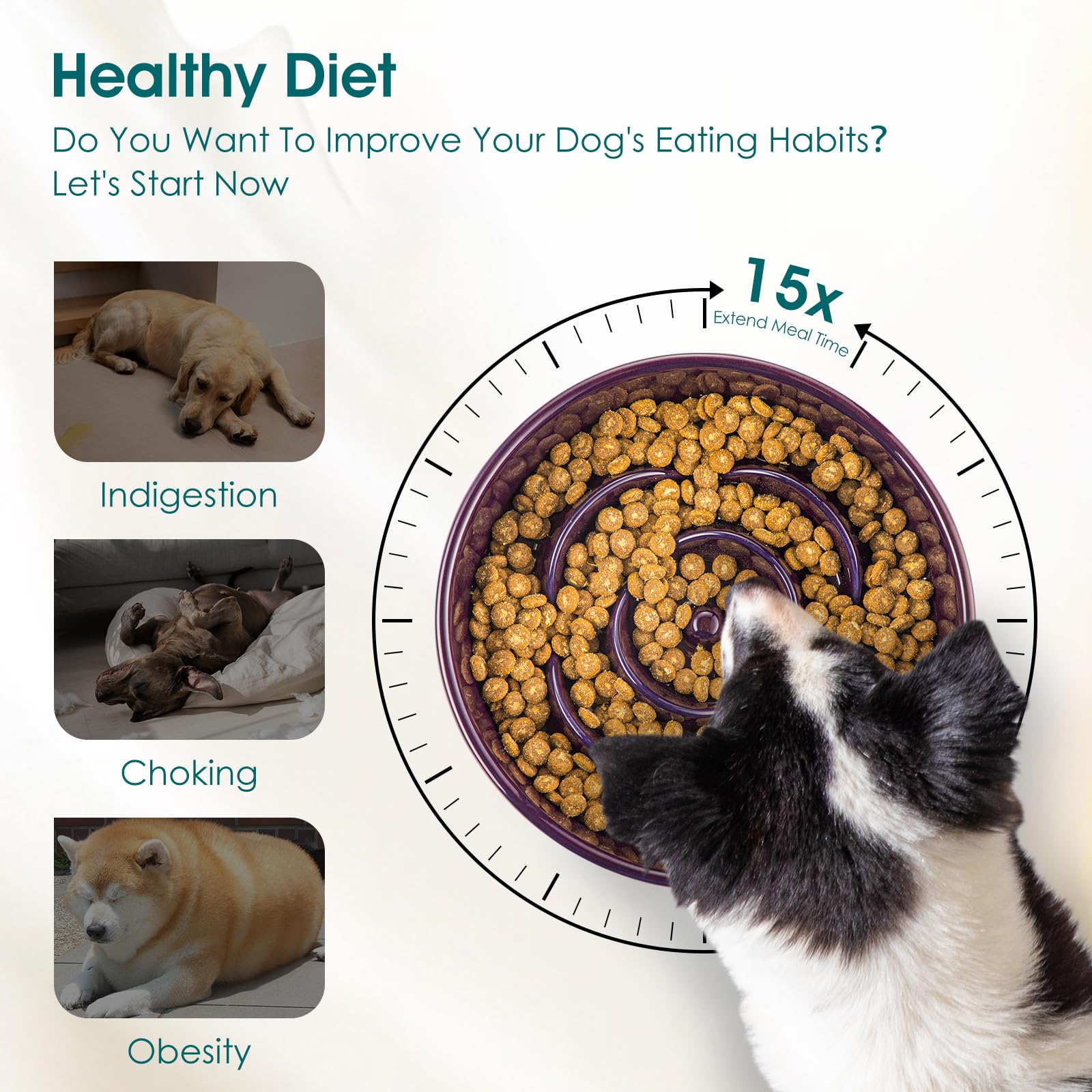 Vancasso puzzle maze bowl engages dogs with a feeding challenge.