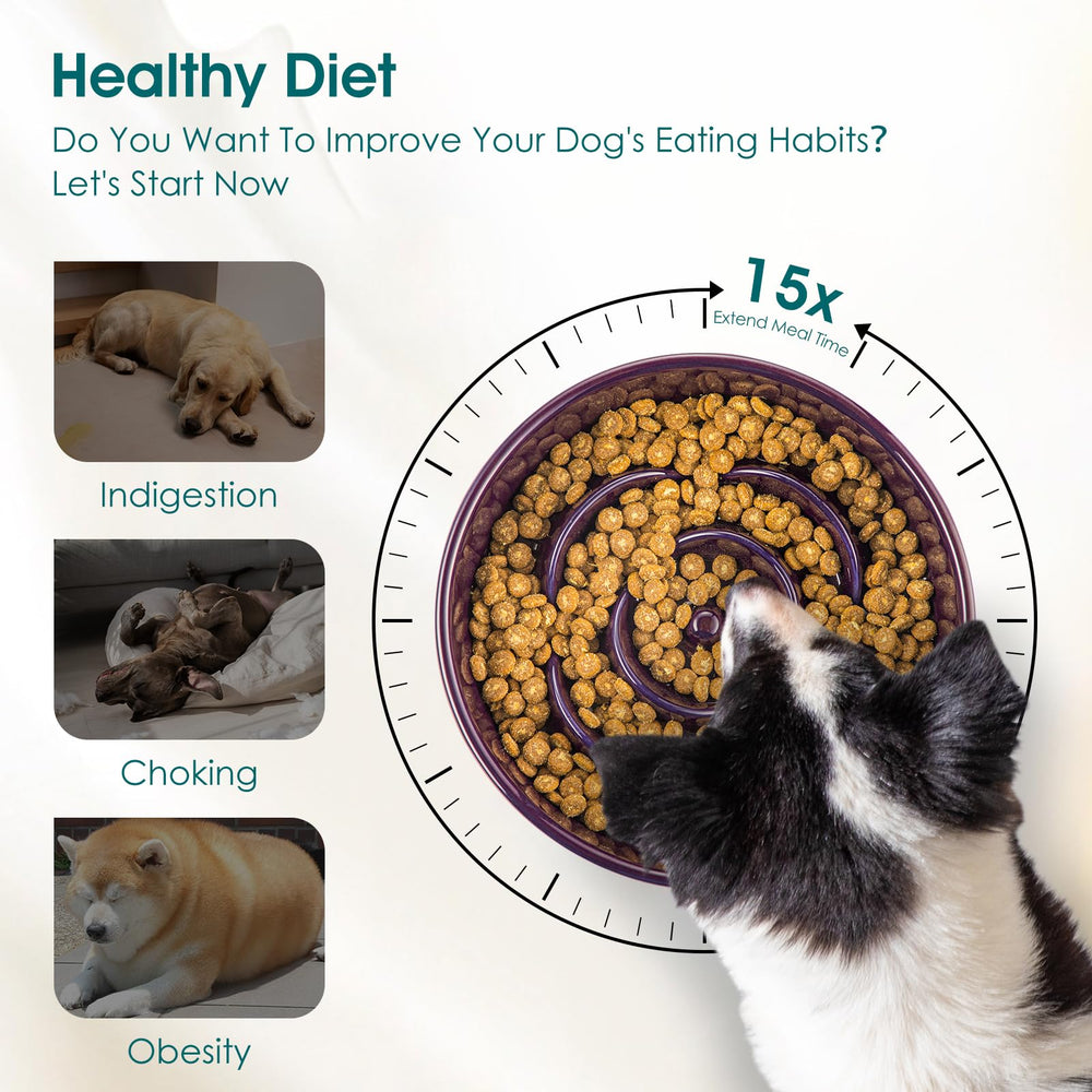 Vancasso puzzle maze bowl engages dogs with a feeding challenge.