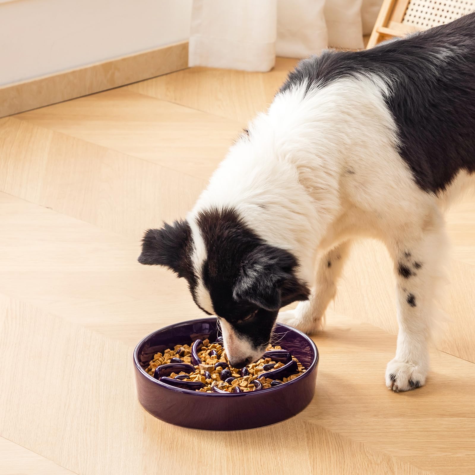 Vancasso puzzle-meets-feeder concept supports slower, relaxed mealtimes.