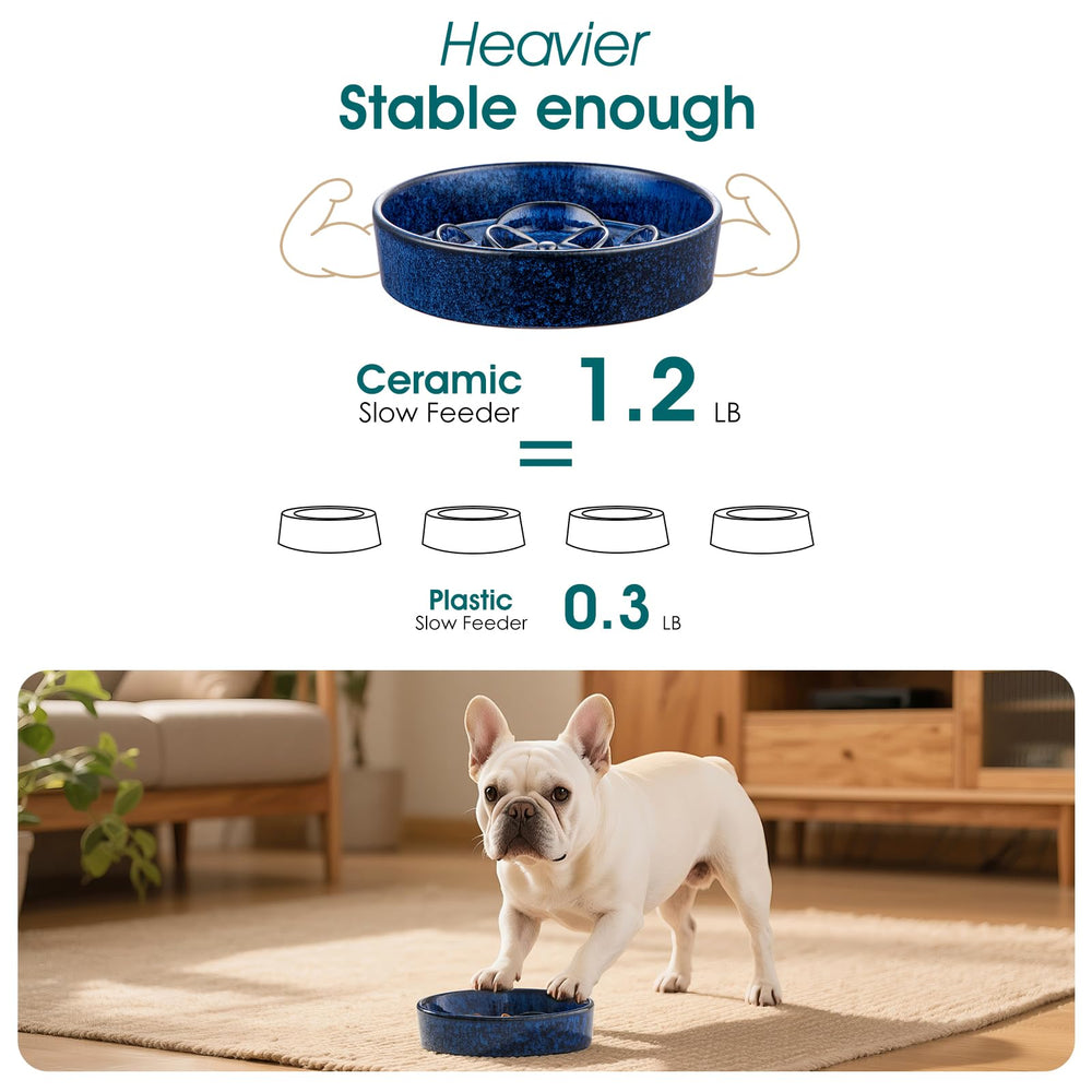 Vancasso slow feeder bowl capacity 0.6 cup for portion control