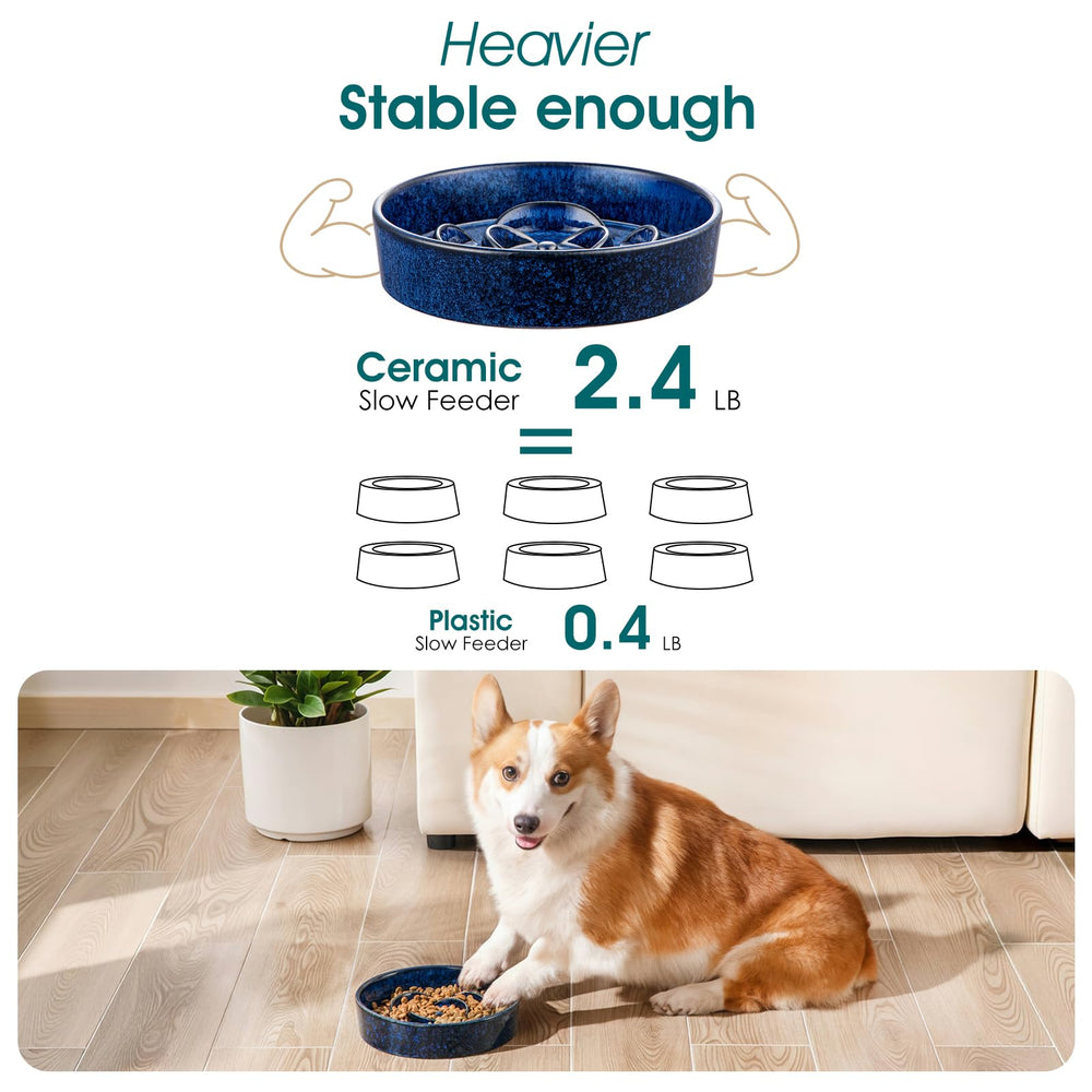 Vancasso slow feeder bowl anti-slip bottom keeps meals in place