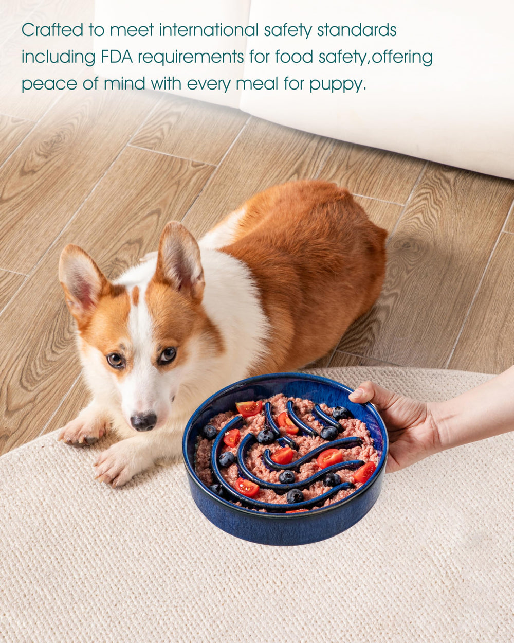 vancasso slow feeder bowl blue glazed ceramic is pet-safe