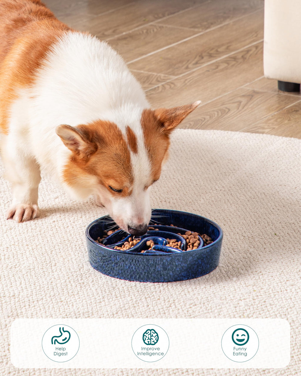 vancasso slow feeder bowl blue stable structure reduces tipping