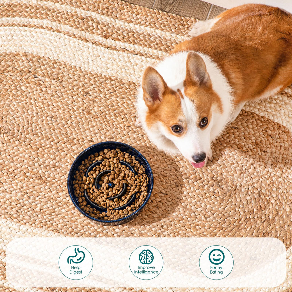Vancasso slow feeder bowl capacity 1.5 cups of dry food