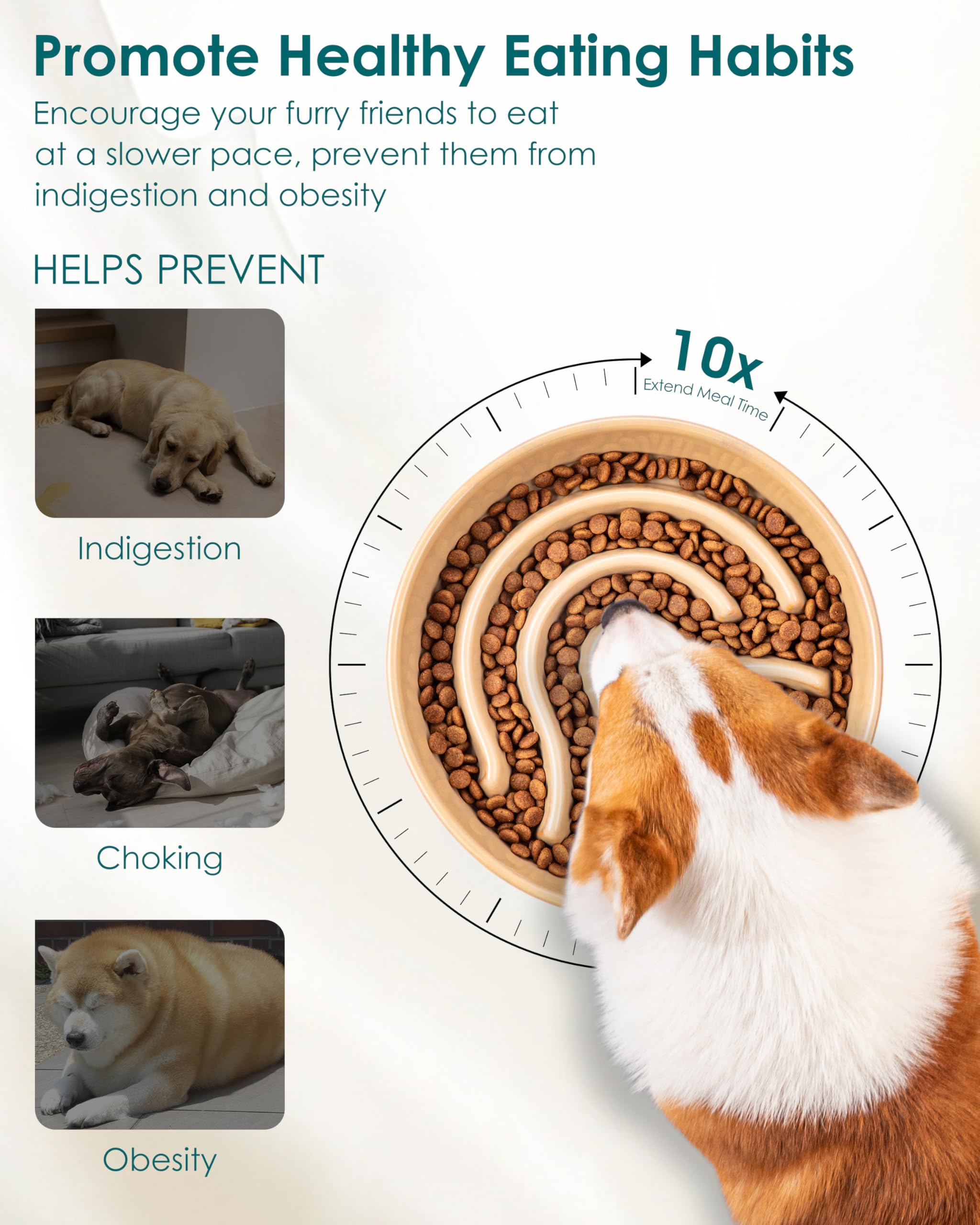 Vancasso ceramic glaze finish highlights easy-to-clean, pet-safe bowl.