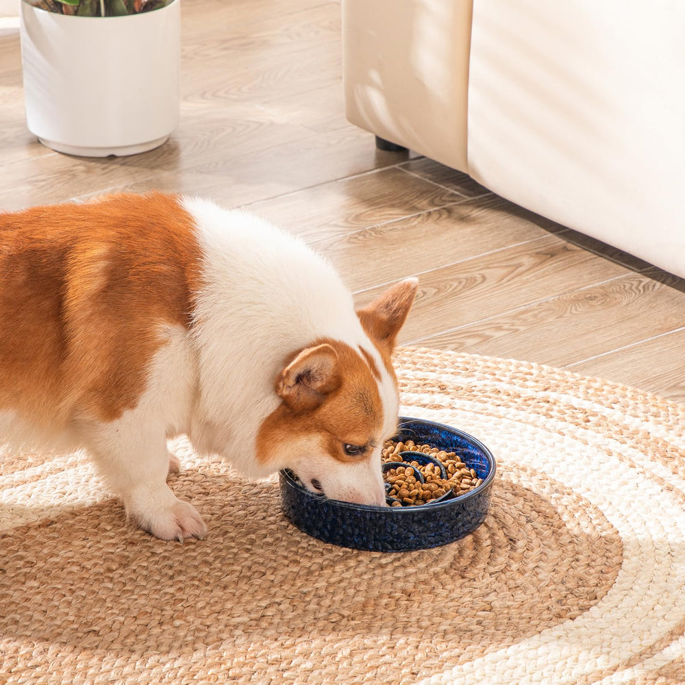 Vancasso slow feeder bowl easy-to-clean non-porous surface