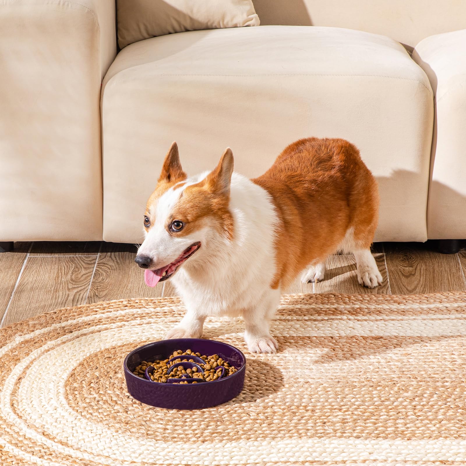 Vancasso slow-feeder bowl durable chew-resistant ceramic for chewers.