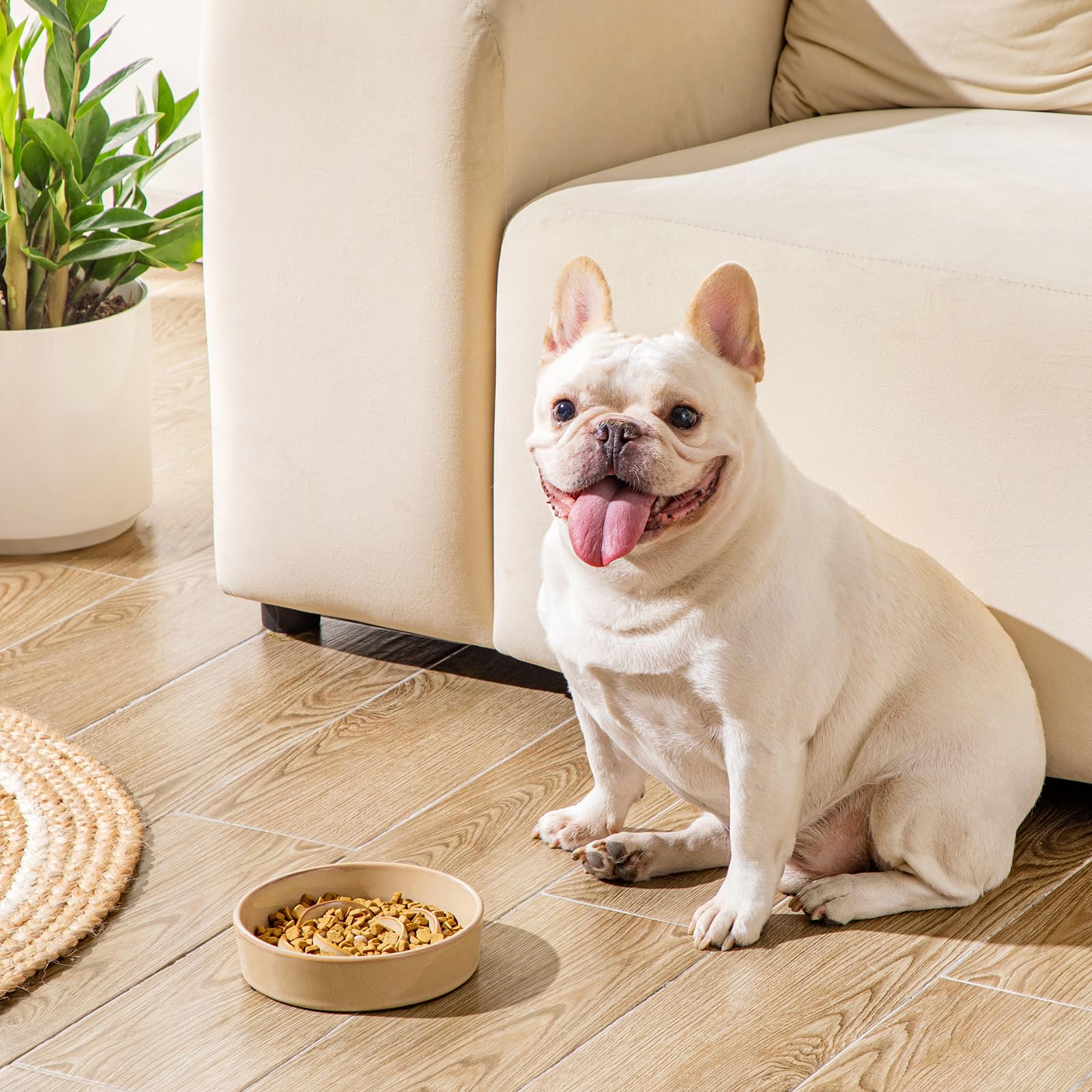 vancasso slow feeder bowl for small dogs in cozy setup