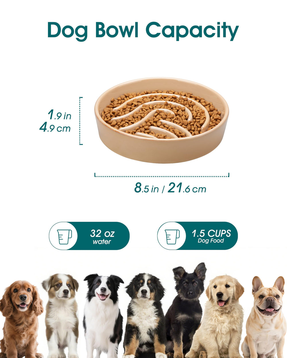 Vancasso slow-feeder bowl in use demonstrates stable feeding for small dogs.