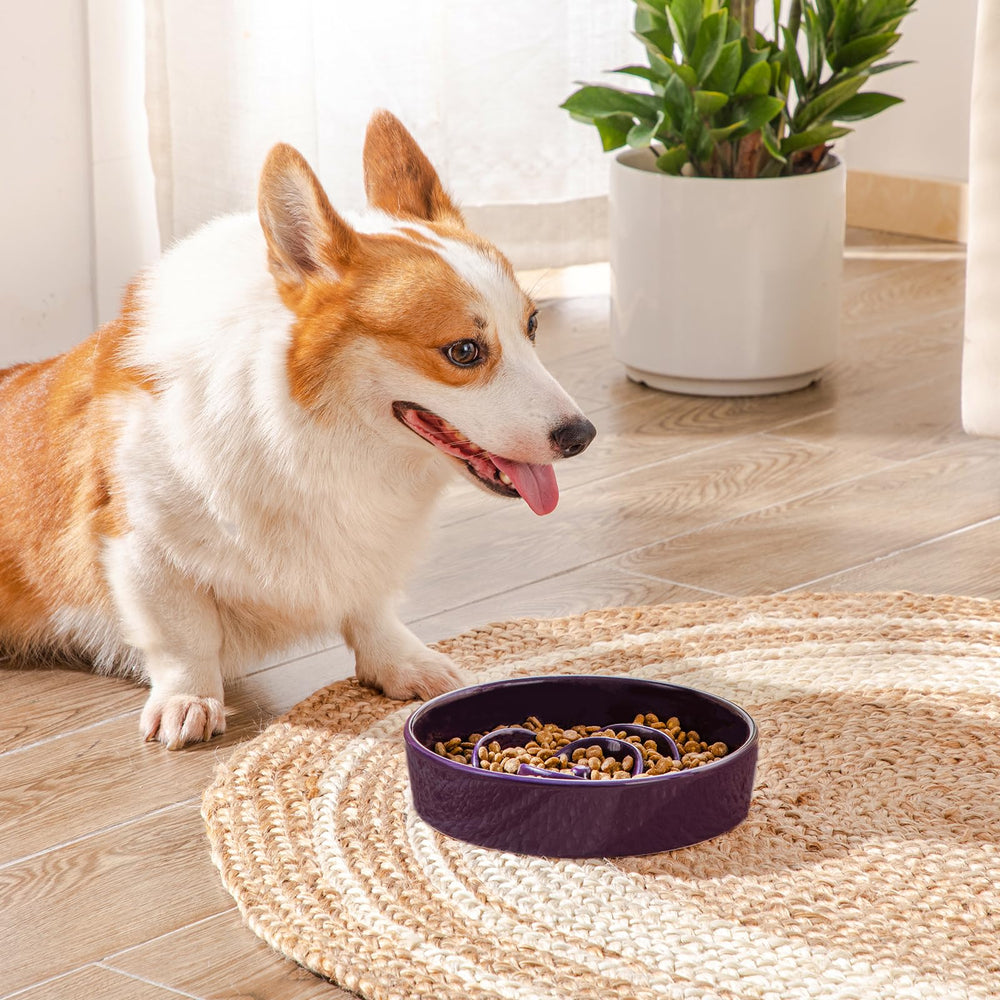 Vancasso slow-feeder bowl suitable for medium dogs and cats use.
