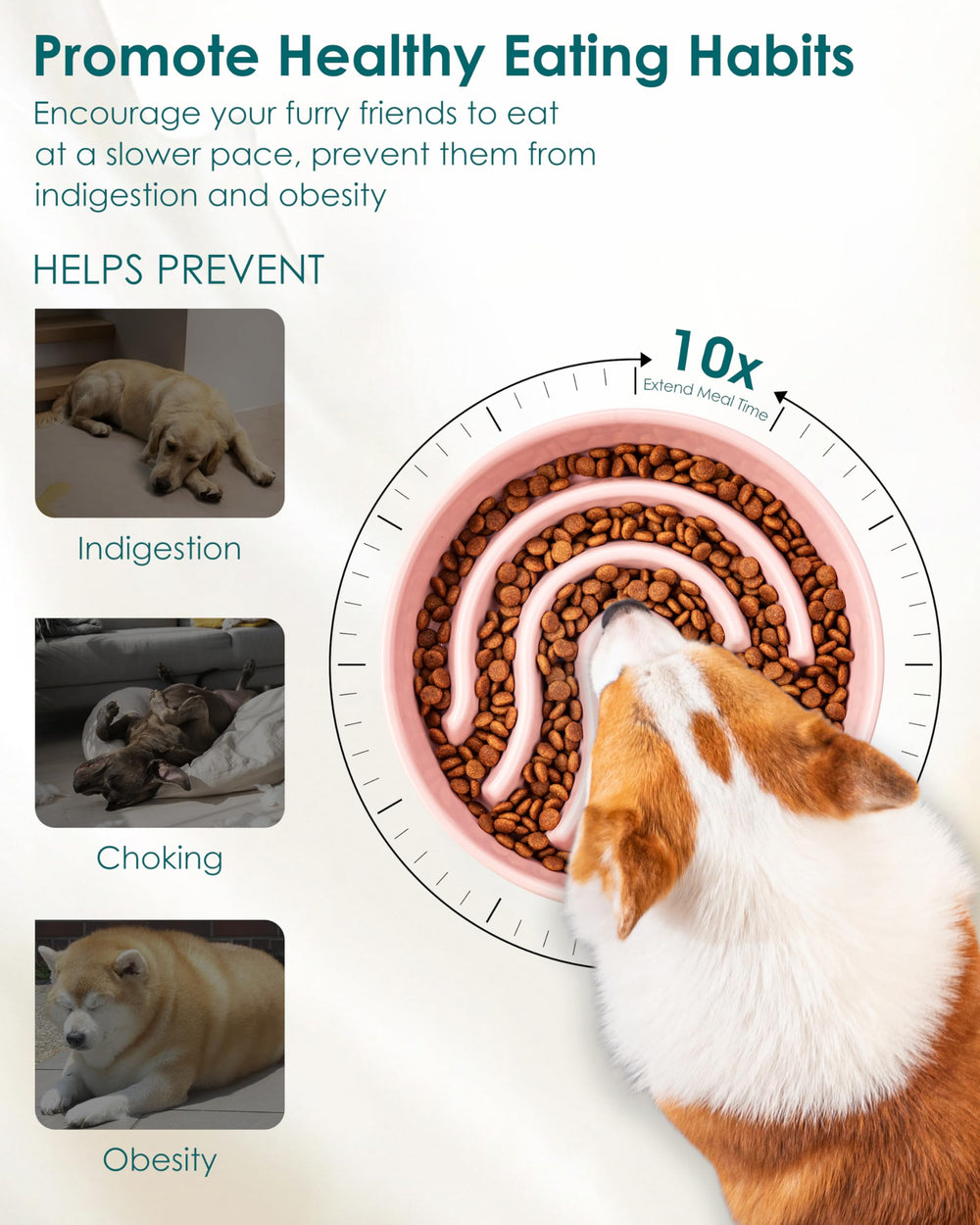 Vancasso ceramic bowl highlight non-toxic glaze for safe chewing and hygienic dining.