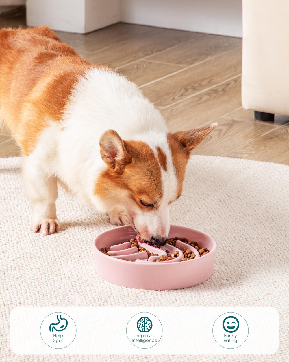 Vancasso pink slow feeder shown during mealtime helping organized feeding.